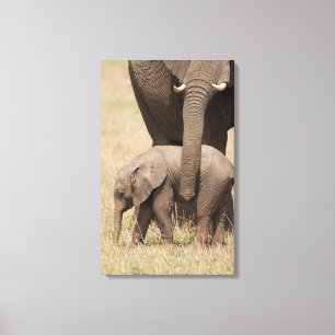 Toile Éléphant d'Afrique bébé avec sa mère