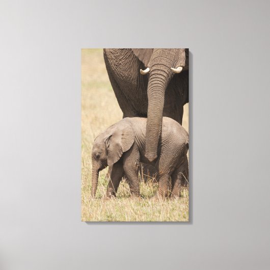 Toile Éléphant d'Afrique bébé avec sa mère (Recto)