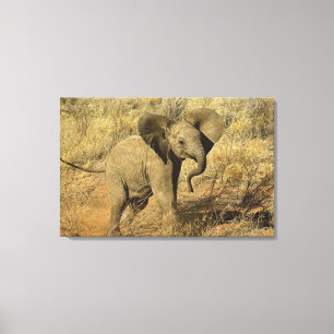 Toile Éléphant d'Afrique bébé, Loxodonta Africana,