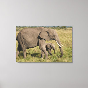 Toile Éléphant d'Afrique et éléphanteau (Loxodonta afric
