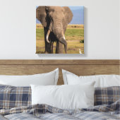 Toile Éléphant en recherche (Insitu(Chambre))