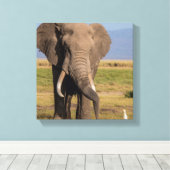 Toile Éléphant en recherche (Insitu (Plancher de Bois))