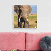 Toile Éléphant en recherche (Insitu(Salon))