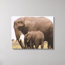 Eléphant maman et bébé