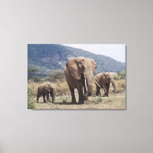 Toile Éléphant mère marchant avec un éléphant jeune