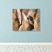 TOILE ÉLÉPHANTS (Insitu (Plancher de Bois))