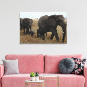 Toile Eléphants (Insitu(Salon))