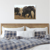 Toile Eléphants (Insitu(Chambre))