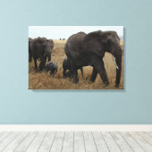 Toile Eléphants (Insitu (Plancher de Bois))