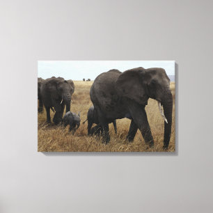 Toile Eléphants
