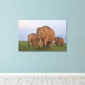 Toile Éléphants indiens dans la prairie (Insitu (Plancher de Bois))