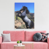 Toile Élevage du Cheval bleu Roan dans le désert (Insitu(Salon))