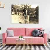 Toile Elgin Illinois Lords Park 1890's Photograph Bear (Insitu(Salon))