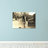 Toile Elgin Illinois Lords Park 1890's Photograph Bear (Insitu (Plancher de Bois))