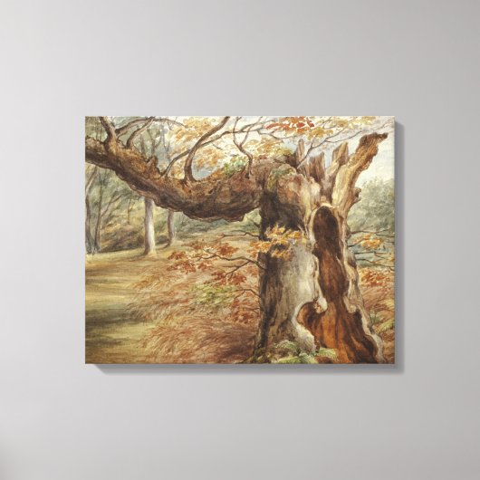 Toile Elizabeth Murray - Arbre tournant (Recto)