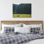 Toile Elk Meadow at Redwood National Park (Insitu(Chambre))