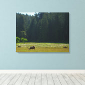 Toile Elk Meadow at Redwood National Park (Insitu (Plancher de Bois))