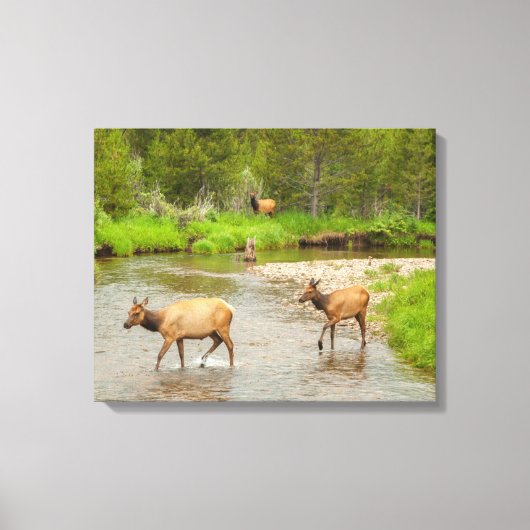 Toile Elks traversant le fleuve Colorado (Recto)