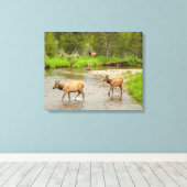 Toile Elks traversant le fleuve Colorado (Insitu (Plancher de Bois))
