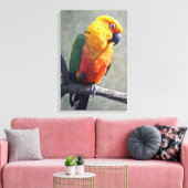 Toile emballée de Conure de Jenday (Insitu(Salon))
