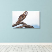 Toile emballée de hibou (Insitu (Plancher de Bois))