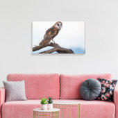 Toile emballée de hibou (Insitu(Salon))