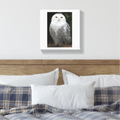 Toile embouteillée Premium (brillant) (Insitu(Chambre))