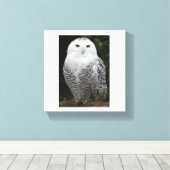 Toile embouteillée Premium (brillant) (Insitu (Plancher de Bois))