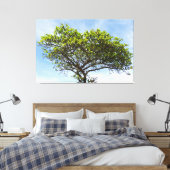 Toile Emerald Canopy: The Coastal Almond Tree (Insitu(Chambre))