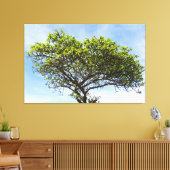 Toile Emerald Canopy: The Coastal Almond Tree (Insitu(Salon))