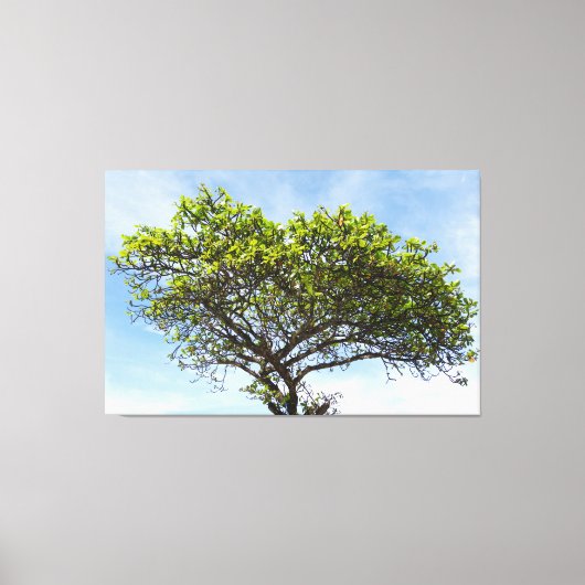 Toile Emerald Canopy: The Coastal Almond Tree (Recto)