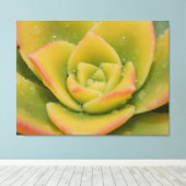 Toile Emerald Succulent Macro Canvas Wall Art Print  (Insitu (Plancher de Bois))