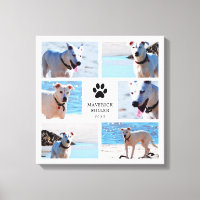 Empreintes de pattes - Collage photo de chien