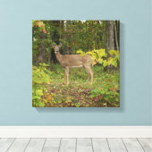 Toile En attente (Insitu (Plancher de Bois))