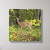 Toile En attente (Recto)