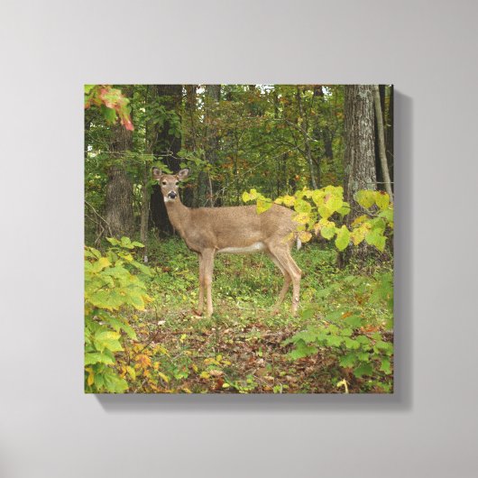 Toile En attente (Recto)