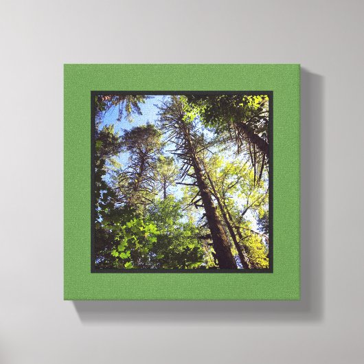 Toile En regardant les arbres (Recto)