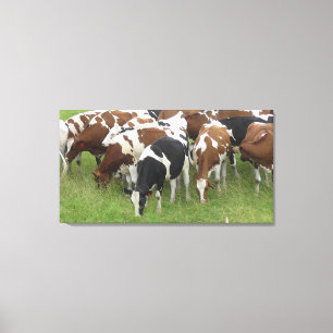 Toile encadrée représentant des vaches laitières b