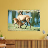 Toile Enfant de cerfs rouges (Insitu(Salon))