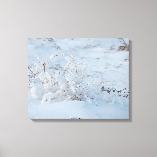 Toile enneigement (Recto)