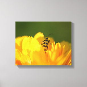 Toile enrobée de fleurs jaunes