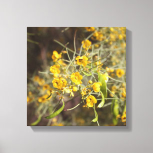 Toile enrobée de Fleurs Jaunes