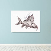 Toile enrobée de poisson catfish Synodontis Eupter (Insitu (Plancher de Bois))