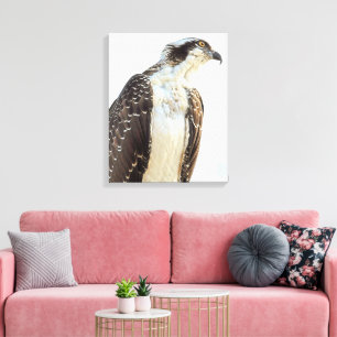 Toile enrobée de profil Osprey