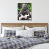Toile enrobée de soccer d'éléphant (Insitu(Chambre))