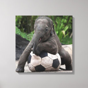 Toile enrobée de soccer d'éléphant