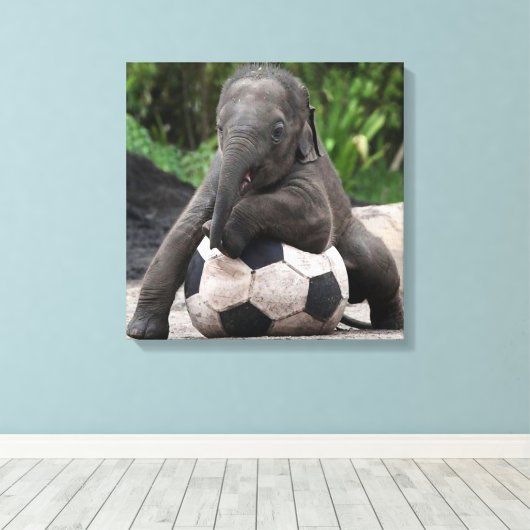Toile enrobée de soccer d'éléphant (Insitu (Plancher de Bois))