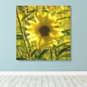 Toile enrobée de tournesol Imprimer 24x24 (Insitu (Plancher de Bois))