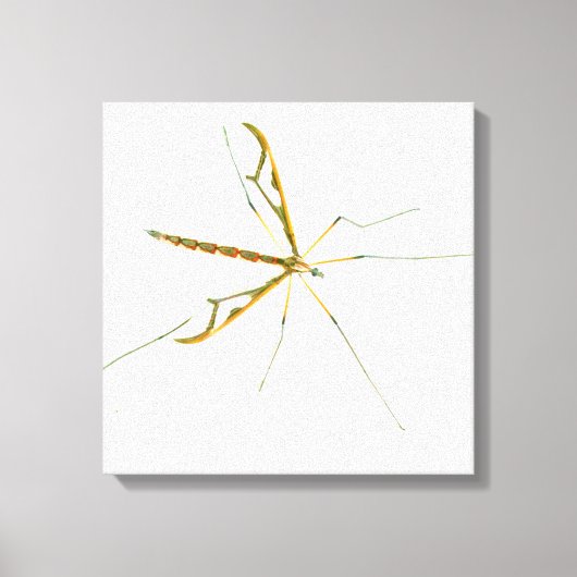 toile enrobée d'insecte géant (Recto)