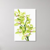 Toile enrobée verte Cymbidium Orchidée Imprimer (Recto)
